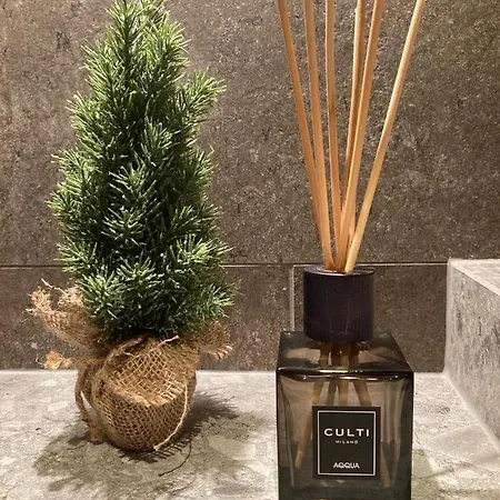 Hahnenkamm Ski-in Ski-out Direkt An Der Hahnenkammbahn Apartment *