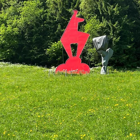 Hahnenkamm Luxury Ski-in Ski-out With Spa, Parking & Fireplace *