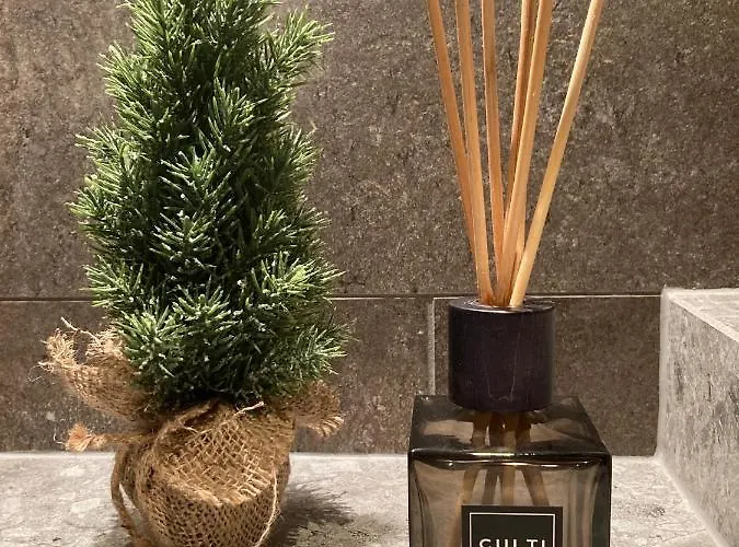 Hahnenkamm Luxury Ski-in Ski-out With Spa, Parking & Fireplace Apartment *