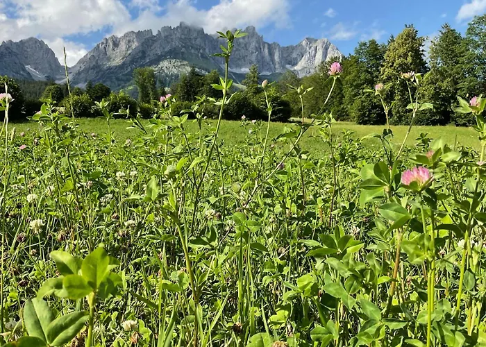 Hahnenkamm Luxury Ski-in Ski-out With Spa, Parking & Fireplace Apartment Kitzbuhel