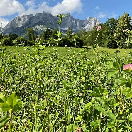 Hahnenkamm Ski-in Ski-out Direkt An Der Hahnenkammbahn Apartament Kitzbühel